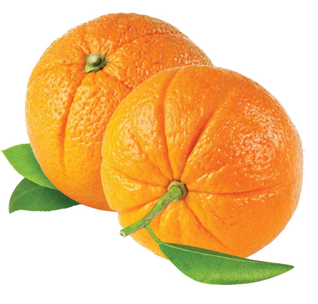 citrus