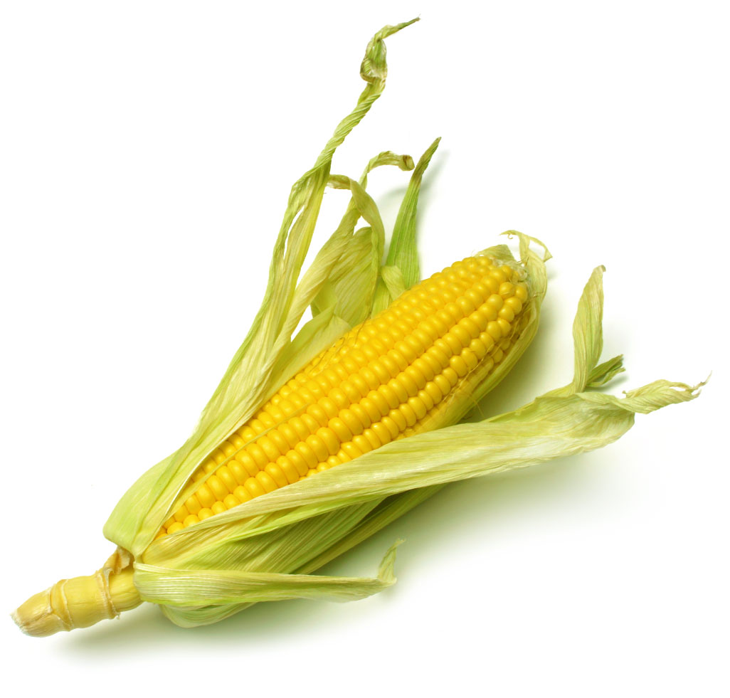 maize