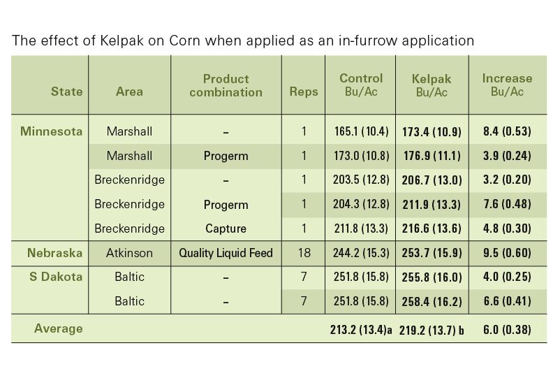 cereal crops