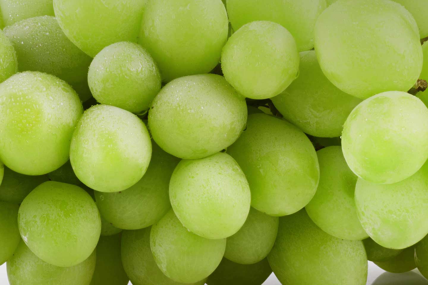 table grape image