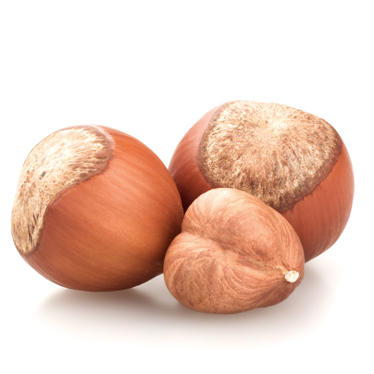 hazelnuts