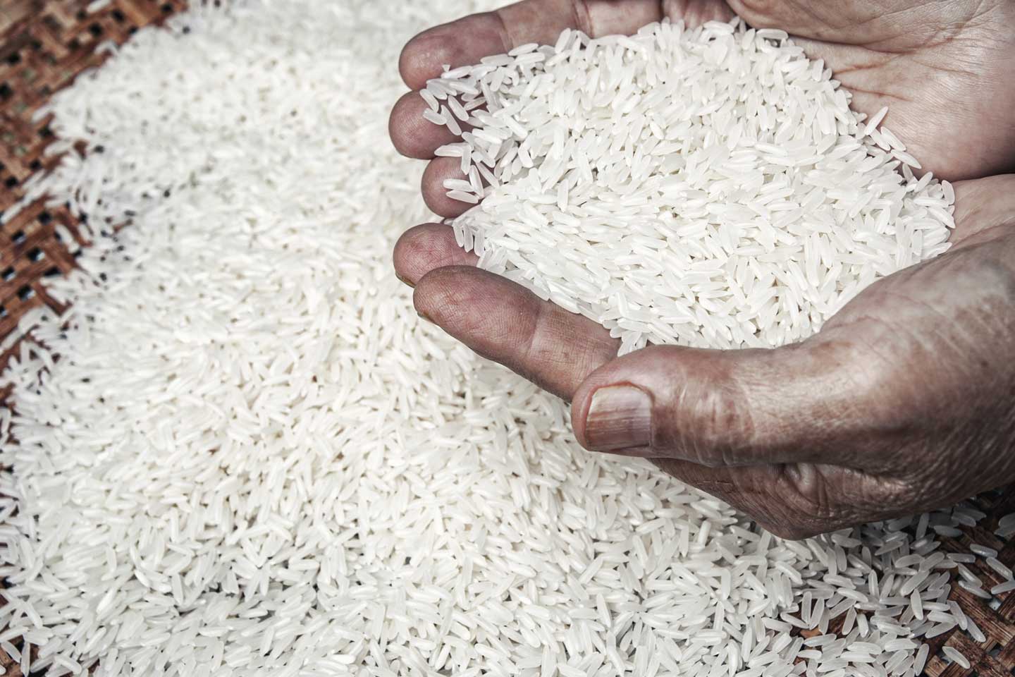 rice image